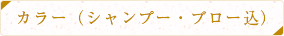 カラー(シャンプー・ブロー込)