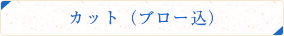 カット(ブロー込)